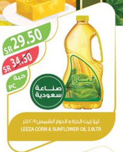  Corn Oil  in Farm  in KSA, Saudi Arabia, Saudi - Jazan