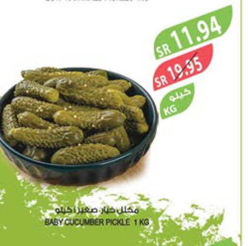  Pickle  in Farm  in KSA, Saudi Arabia, Saudi - Khafji