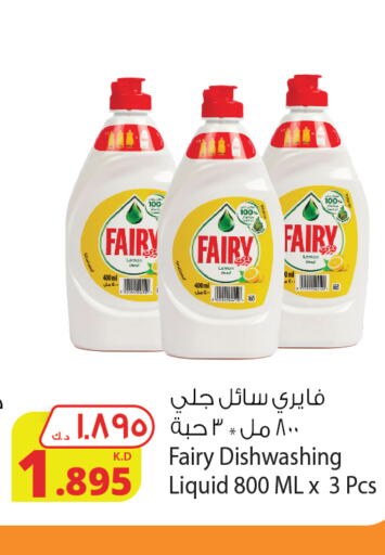 FAIRY   in شركة المنتجات الزراعية الغذائية in الكويت - محافظة الأحمدي