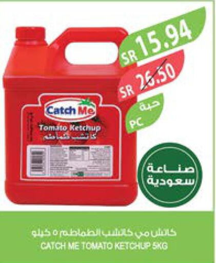  Tomato Ketchup  in Farm  in KSA, Saudi Arabia, Saudi - Yanbu