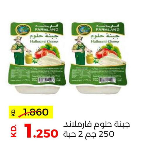  Halloumi  in Sabah Al Salem Co op in Kuwait - Kuwait City