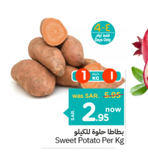  Sweet Potato  in نستو in مملكة العربية السعودية, السعودية, سعودية - الأحساء‎