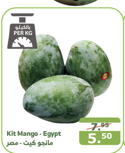  Mangoes  in Al Raya in KSA, Saudi Arabia, Saudi - Tabuk