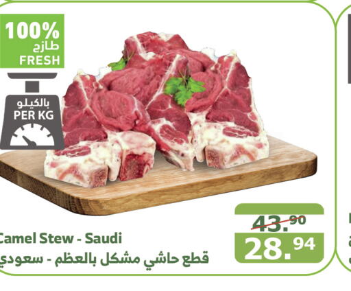  Camel meat  in Al Raya in KSA, Saudi Arabia, Saudi - Tabuk