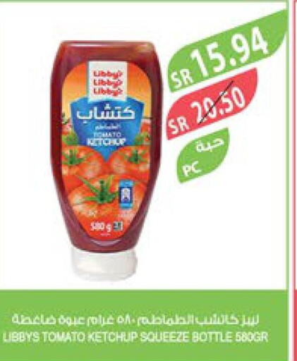  Tomato Ketchup  in Farm  in KSA, Saudi Arabia, Saudi - Yanbu