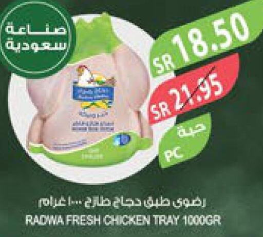  Fresh Whole Chicken  in Farm  in KSA, Saudi Arabia, Saudi - Al Hasa