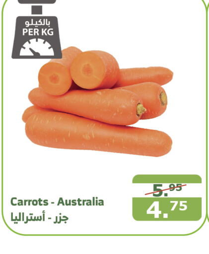  Carrot  in Al Raya in KSA, Saudi Arabia, Saudi - Medina