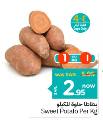  Sweet Potato  in Nesto in KSA, Saudi Arabia, Saudi - Al Khobar