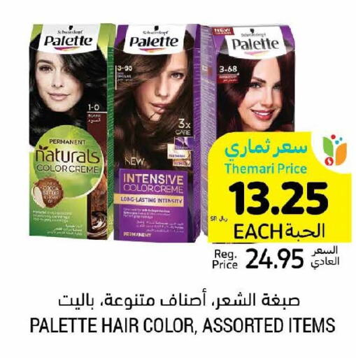 PALETTE Hair Colour  in Tamimi Market in KSA, Saudi Arabia, Saudi - Buraidah