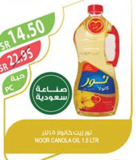 NOOR Canola Oil  in Farm  in KSA, Saudi Arabia, Saudi - Al Khobar