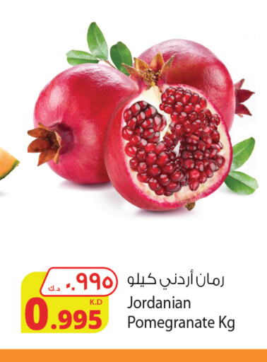  Pomegranate  in Agricultural Food Products Co. in Kuwait - Kuwait City