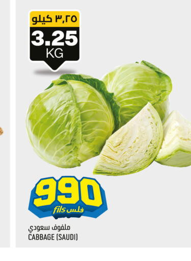  Cabbage  in Oncost in Kuwait