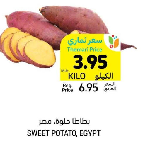  Sweet Potato  in Tamimi Market in KSA, Saudi Arabia, Saudi - Buraidah