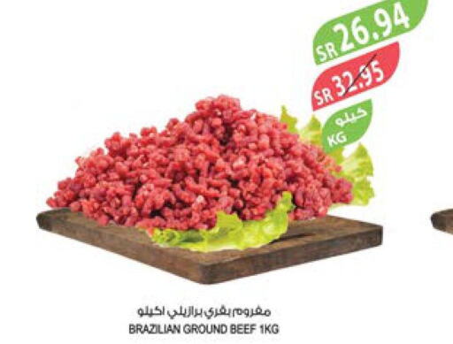  Beef  in Farm  in KSA, Saudi Arabia, Saudi - Jeddah