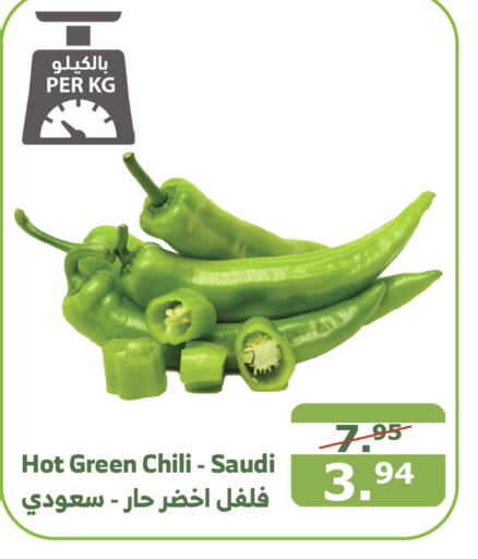  Chilli / Capsicum  in Al Raya in KSA, Saudi Arabia, Saudi - Medina