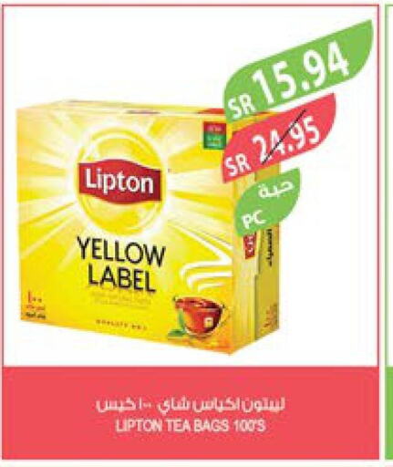 Lipton Tea Bags  in Farm  in KSA, Saudi Arabia, Saudi - Sakaka