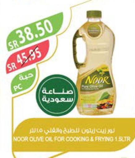 NOOR Olive Oil  in Farm  in KSA, Saudi Arabia, Saudi - Dammam