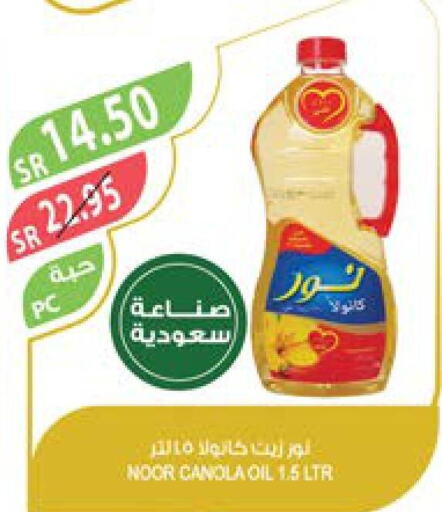 NOOR Canola Oil  in Farm  in KSA, Saudi Arabia, Saudi - Jazan