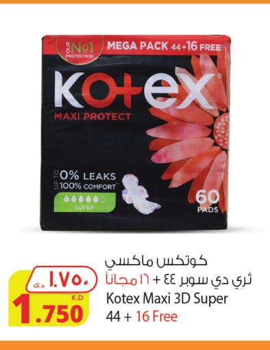 KOTEX   in شركة المنتجات الزراعية الغذائية in الكويت - محافظة الأحمدي