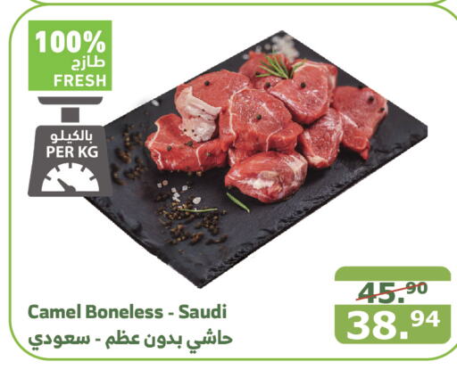  Camel meat  in Al Raya in KSA, Saudi Arabia, Saudi - Yanbu