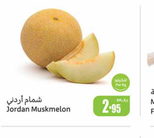  Sweet melon  in Othaim Markets in KSA, Saudi Arabia, Saudi - Al Bahah