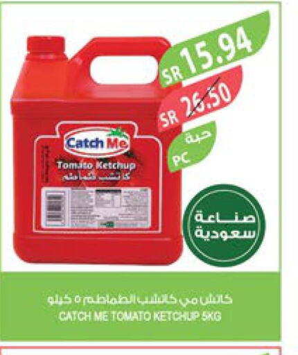  Tomato Ketchup  in Farm  in KSA, Saudi Arabia, Saudi - Khafji