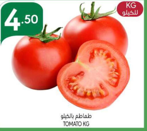  Tomato  in مانويل ماركت in مملكة العربية السعودية, السعودية, سعودية - الرياض