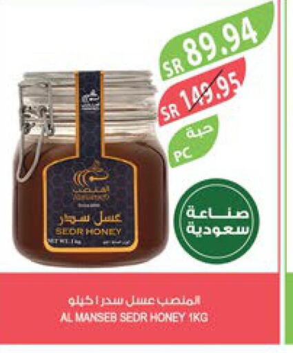  Honey  in Farm  in KSA, Saudi Arabia, Saudi - Tabuk