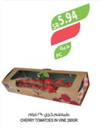  Tomato  in المزرعة in مملكة العربية السعودية, السعودية, سعودية - الخرج