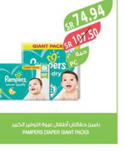 Pampers   in Farm  in KSA, Saudi Arabia, Saudi - Sakaka