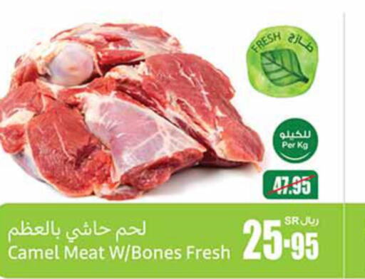  Camel meat  in Othaim Markets in KSA, Saudi Arabia, Saudi - Rafha