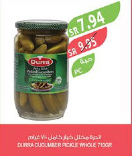 DURRA Pickle  in Farm  in KSA, Saudi Arabia, Saudi - Abha