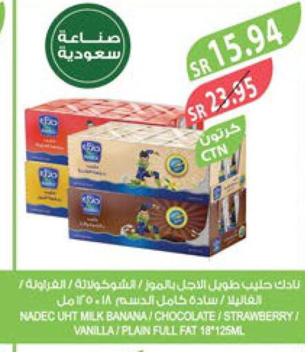 NADEC Long Life / UHT Milk  in Farm  in KSA, Saudi Arabia, Saudi - Jubail