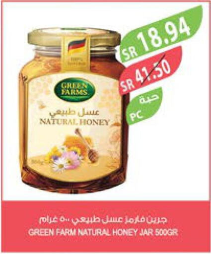  Honey  in Farm  in KSA, Saudi Arabia, Saudi - Yanbu