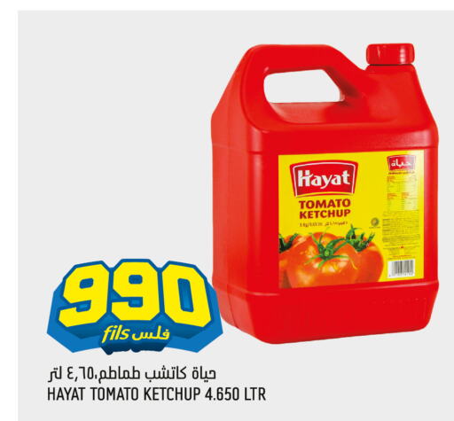 HAYAT Tomato Ketchup  in Oncost in Kuwait - Jahra Governorate