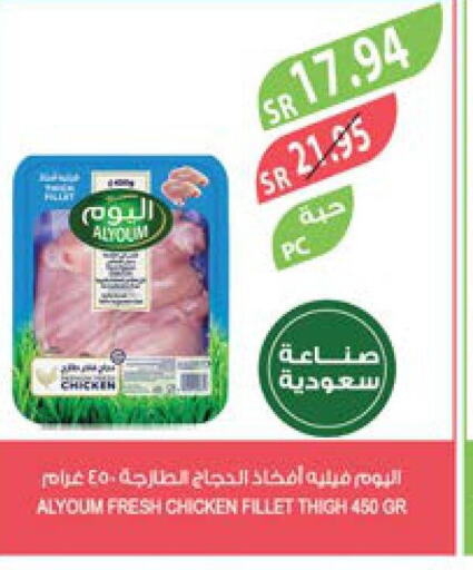  Chicken Fillet  in Farm  in KSA, Saudi Arabia, Saudi - Arar