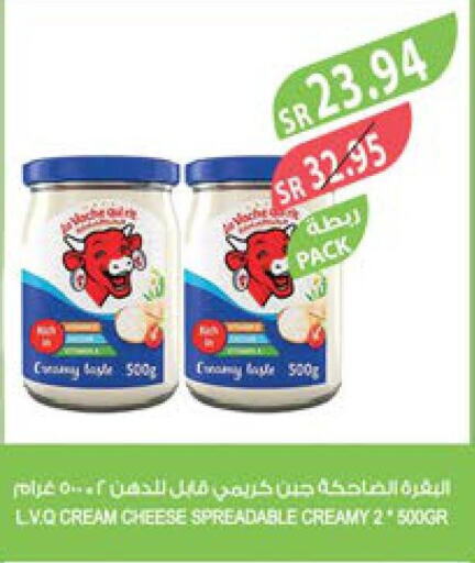 LAVACHQUIRIT Cream Cheese  in Farm  in KSA, Saudi Arabia, Saudi - Najran