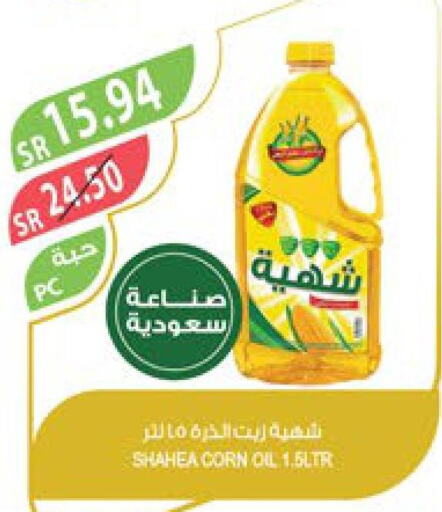  Corn Oil  in Farm  in KSA, Saudi Arabia, Saudi - Jazan