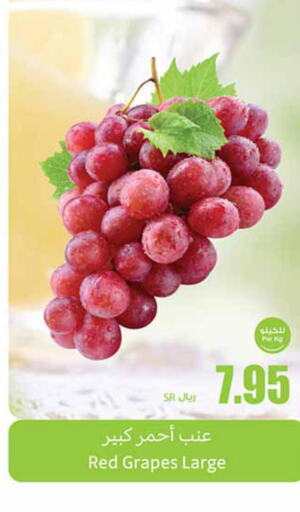  Grapes  in أسواق عبد الله العثيم in مملكة العربية السعودية, السعودية, سعودية - القنفذة