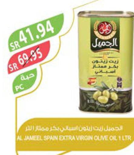  Virgin Olive Oil  in Farm  in KSA, Saudi Arabia, Saudi - Jazan