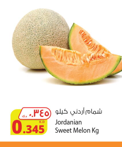  Sweet melon  in Agricultural Food Products Co. in Kuwait - Kuwait City