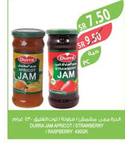 DURRA Jam  in Farm  in KSA, Saudi Arabia, Saudi - Khafji