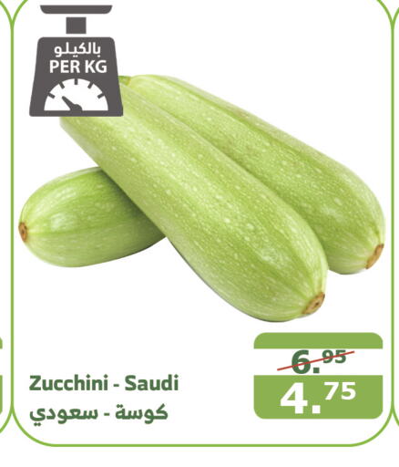  Zucchini  in Al Raya in KSA, Saudi Arabia, Saudi - Medina