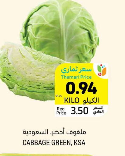  Cabbage  in أسواق التميمي in مملكة العربية السعودية, السعودية, سعودية - الجبيل‎