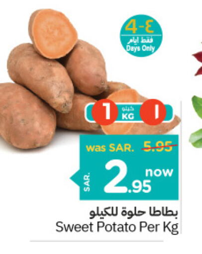  Sweet Potato  in نستو in مملكة العربية السعودية, السعودية, سعودية - المنطقة الشرقية