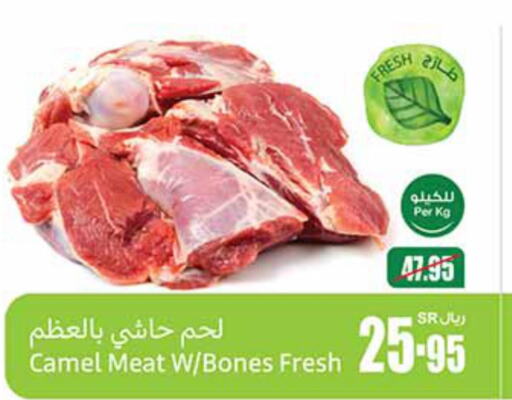  Camel meat  in Othaim Markets in KSA, Saudi Arabia, Saudi - Al Bahah