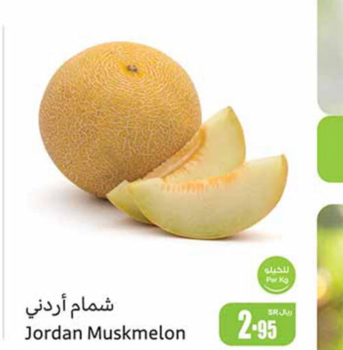  Sweet melon  in Othaim Markets in KSA, Saudi Arabia, Saudi - Rafha