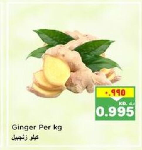  Ginger  in نستو هايبر ماركت in الكويت