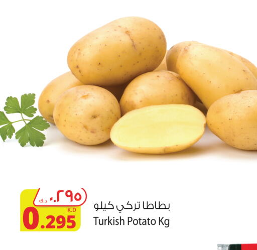  Potato  in شركة المنتجات الزراعية الغذائية in الكويت - محافظة الجهراء