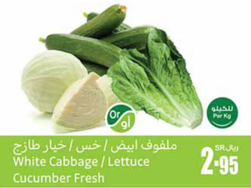  Cucumber  in أسواق عبد الله العثيم in مملكة العربية السعودية, السعودية, سعودية - الخبر‎